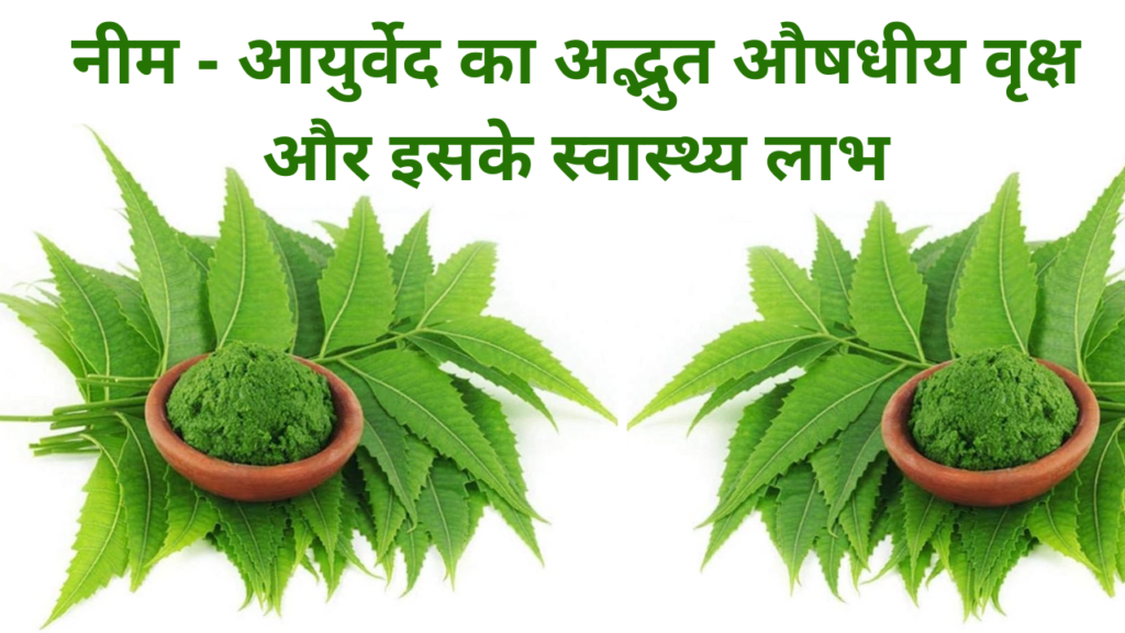 well health tips in hindi wellhealthorganic : नीम - आयुर्वेद का अद्भुत औषधीय वृक्ष और इसके स्वास्थ्य लाभ